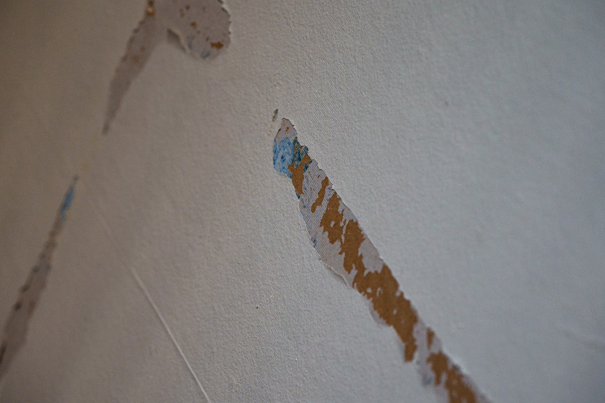 Structural Drying service in Pueblo, CO